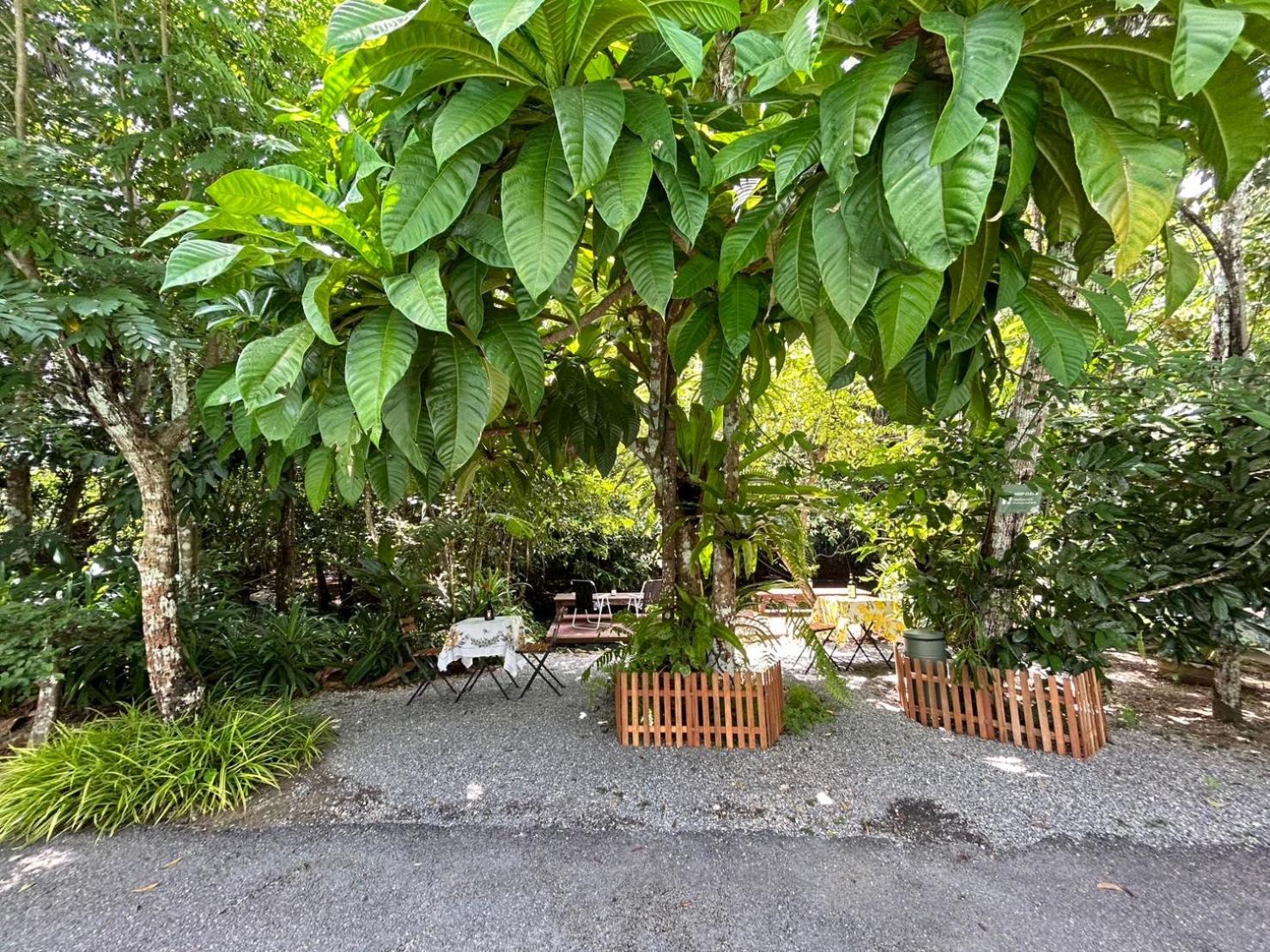 Blu Monkey Pooltara Krabi Hotel & Villas Pet Friendly Extérieur photo