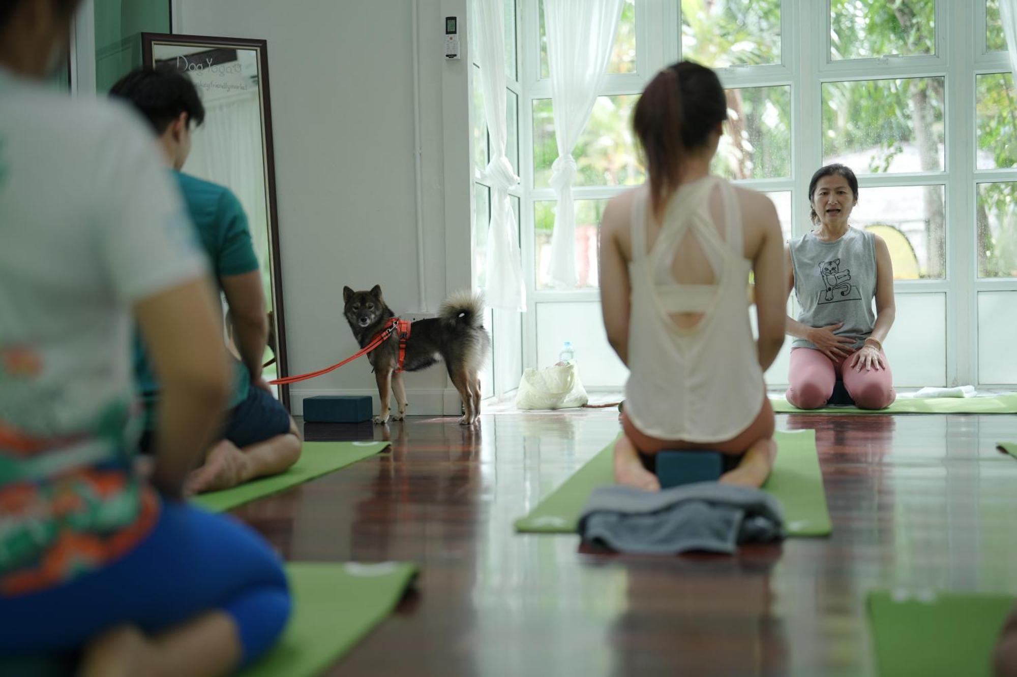 Blu Monkey Pooltara Krabi Hotel & Villas Pet Friendly Extérieur photo